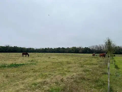 Terreno en Venta de 30580,0 m2