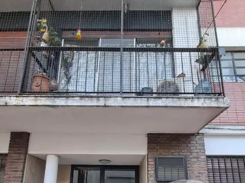 Albarellos 1600, Piso 1