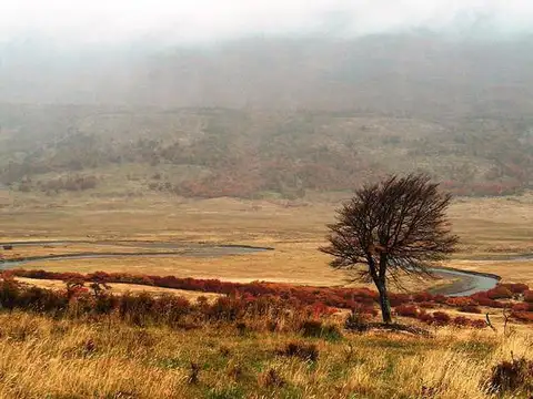Gobernador Gregores