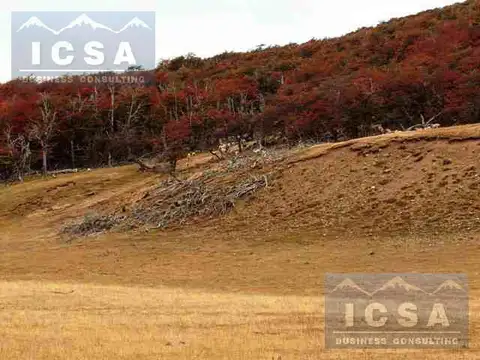 Campo - Tucu Tucu