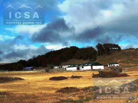 Campo - Tucu Tucu
