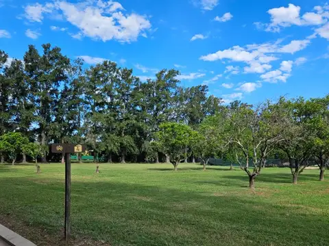 Terreno en Venta en Fighiera, USD 49.500