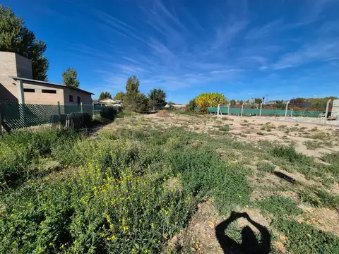 Terreno en Venta 40  mts Fondo