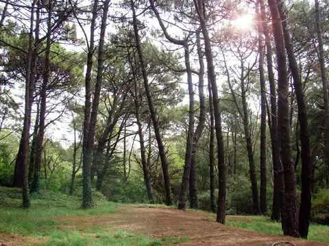 LOTES EN VENTA CON FINANCIACION DIRECTA