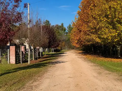 Pensada para disfrutar del aire libre y la naturaleza! Salvador María