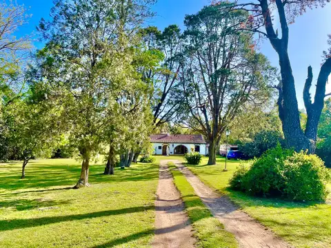 Alberto Einstein 4200