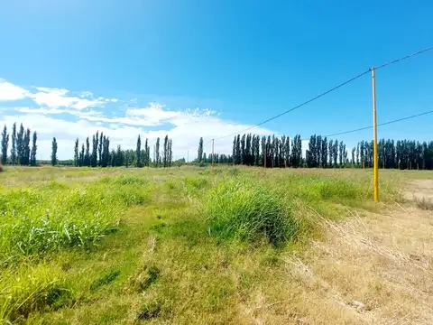Terreno en Venta en Cervantes, USD 4.700