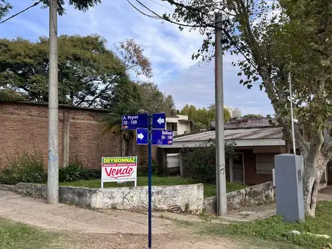 Bolivar y Peyret