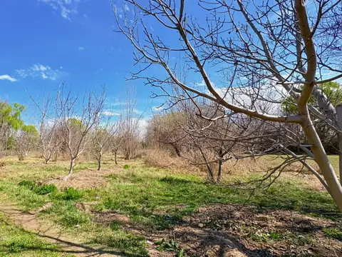 Terreno en Venta de 2000,0 m2