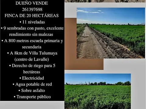 Finca 20 ha en venta en Alto del Olvido