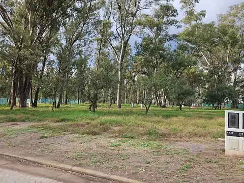 Terreno en venta en Numa, Nuevo Malagueño con escritura y servicios