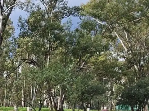 Terreno en Venta de 400,0 m2