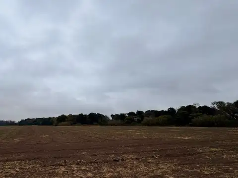 VENTA CAMPO CAMINO SAN CARLOS KM9