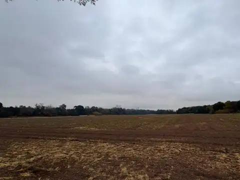 VENTA CAMPO CAMINO SAN CARLOS KM9