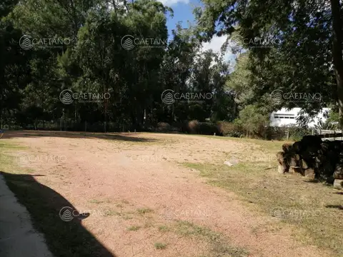 Venta casa con gran terreno, Pinares, Punta del Este