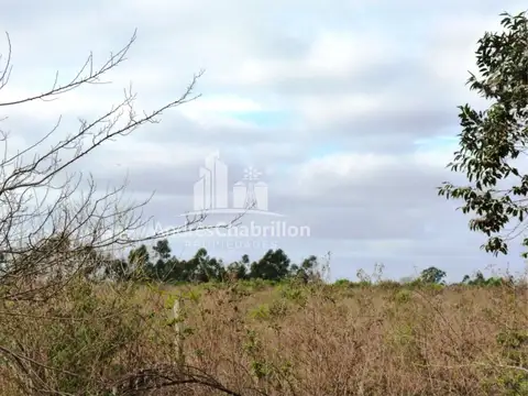 Puerto Yeruá 100