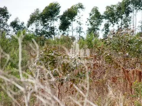 Puerto Yeruá 100