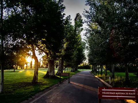 Terreno en Venta de 1000,0 m2