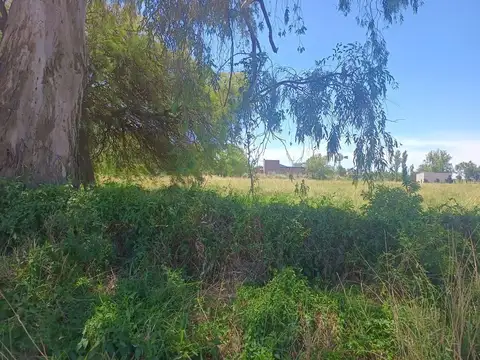 Terreno en Venta de 6081,0 m2