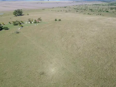 Campo en Venta de 80  ha