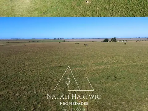 Campo en Venta con Alambrado