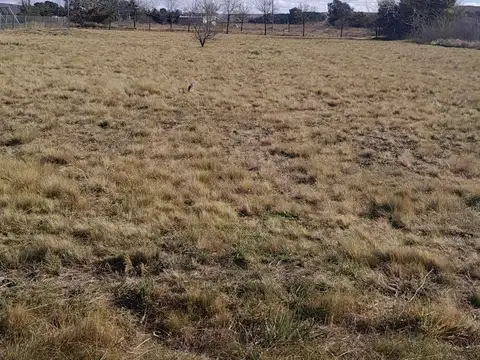 los algarrobos  sierra  de la 100
