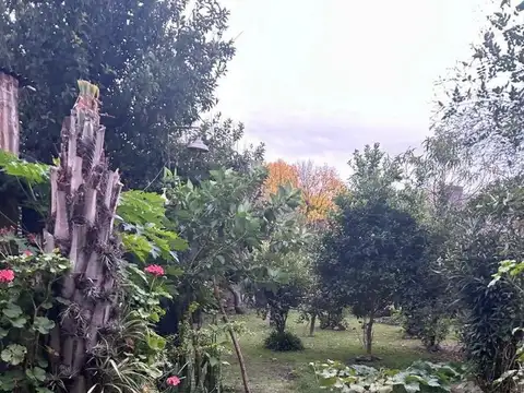 Lote Maschwitz Cod: 11233