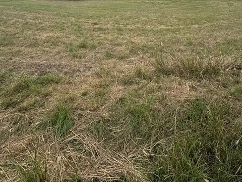 Terreno en Venta de 250,0 m2