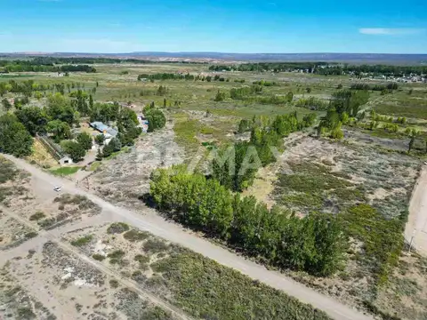 VENTA CHACRA 20 HECTAREAS CHINA MUERTA, PLOTTIER