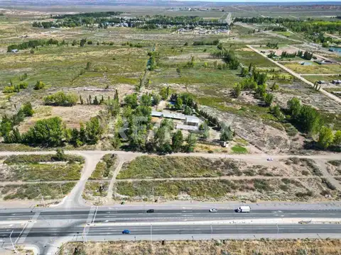 VENTA CHACRA 20 HECTAREAS CHINA MUERTA, PLOTTIER