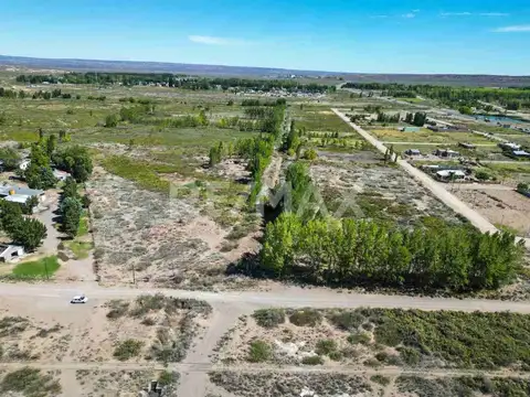 VENTA CHACRA 20 HECTAREAS CHINA MUERTA, PLOTTIER