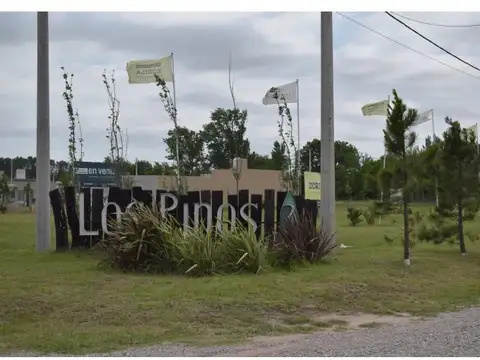 TERRENOS EN PIÑERO