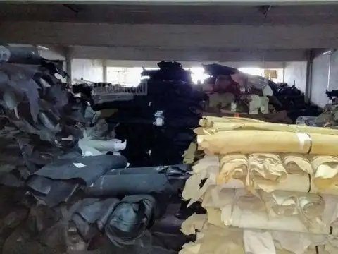 LISANDRO DE LA TORRE 500