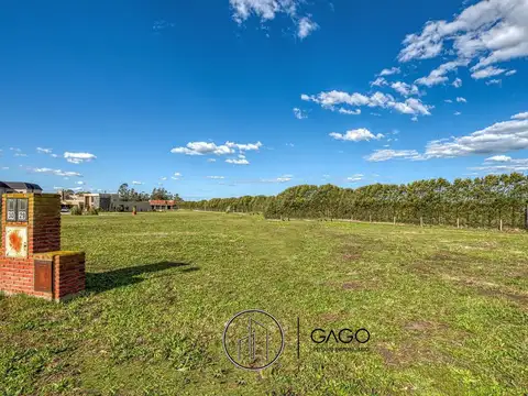 Terreno en Venta en Mar del Plata, USD 47.900