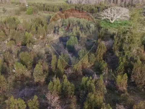 Venta de Campo 3 Ha. en Ruta 8 Km.45 Empalme Olmos