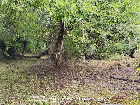 Campo 3.5ha en  El Hoyo, Chubut
