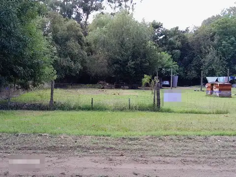 De Los Claveles y De Los Plátanos