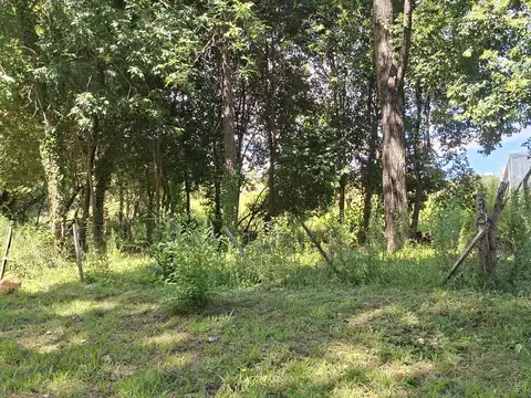 A 200 M DE LA ROTONDA ....