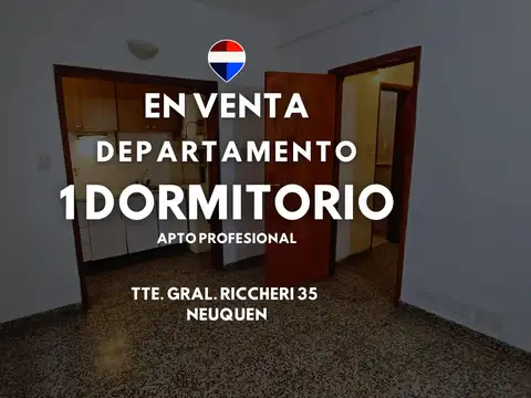 VENTA DEPTO 1 DORMI APTO PROFESIONAL RICCHERI 35