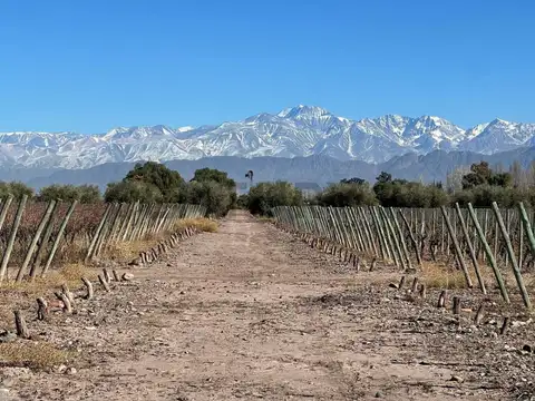 Azcuénaga 1000, Piso 0