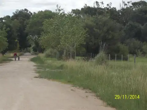 Terreno en Venta de 478,0 m2