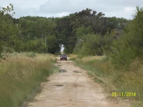 Terreno en Venta 40  mts Fondo