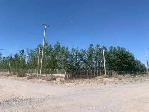 Terreno en Alquiler en Neuquen, $ 2.000.000
