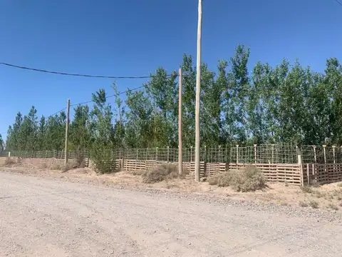 LOTE EN ALQUILER EN EL PIN DE NEUQUÉN