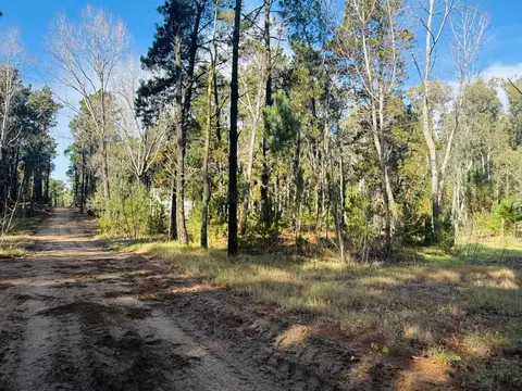 LOTE 426 VENTA EN VILLA ROBLE SERENA