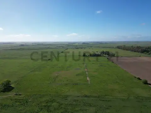 Campo de 14 hectáreas |  Ignacio Correas 22 y 699