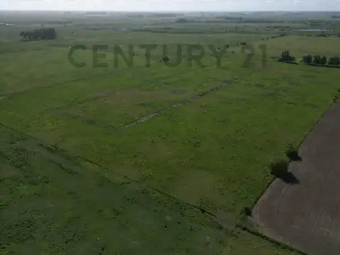 Campo de 14 hectáreas |  Ignacio Correas 22 y 699