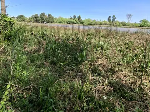 Terreno en Venta 25  mts Frente