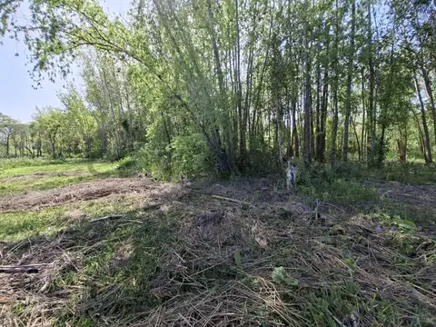Terreno en Venta en Islas, USD 35.000