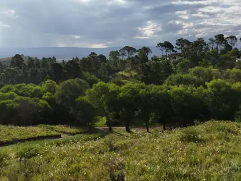 Terreno en Venta, FOS 0,5